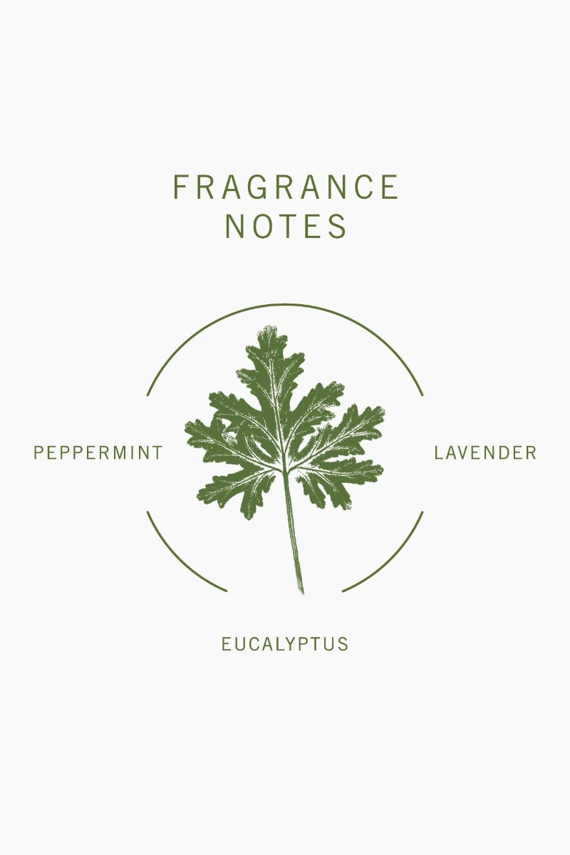 Geranium Hand & Body Wash